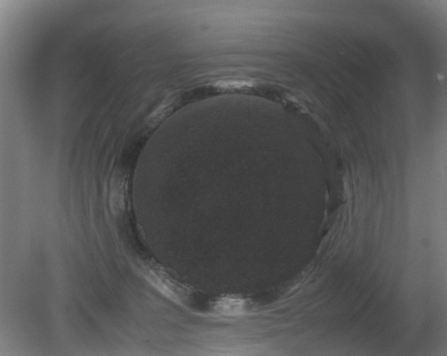 X0000080190227200612152022