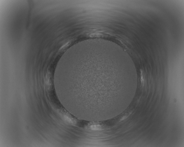 X0000080190228200612152022