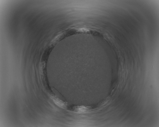 X0000080190229200612152022
