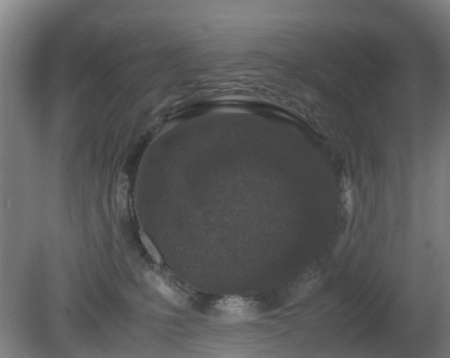 X0000080190231200612152022