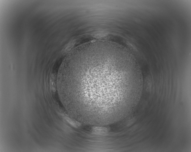 X0000080190234200612152022