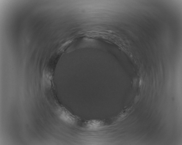 X0000080190235200612152022
