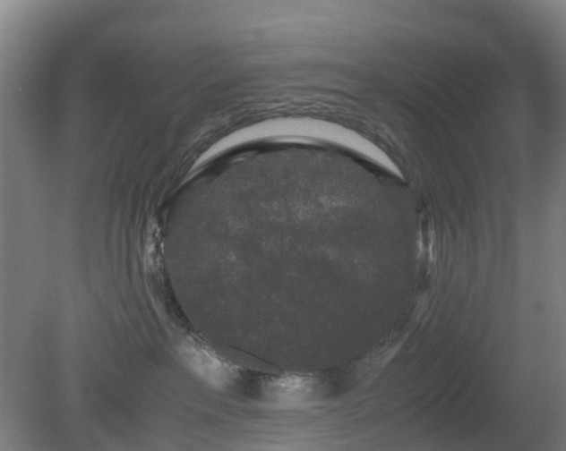 X0000080190237200612152022