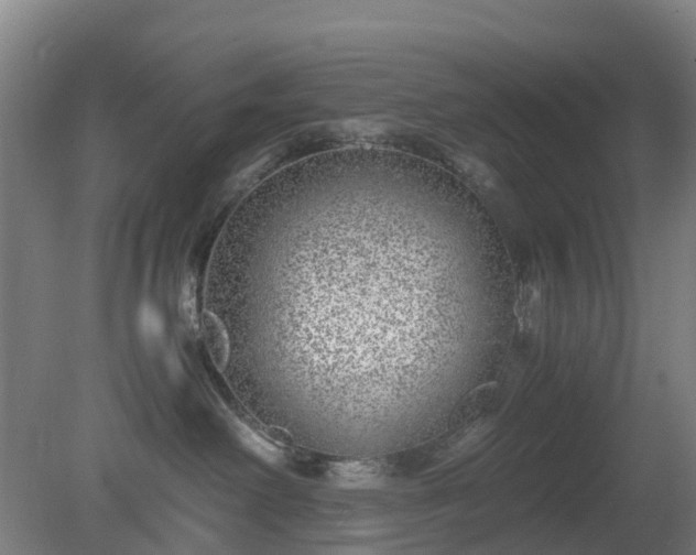X0000080190238200612152022