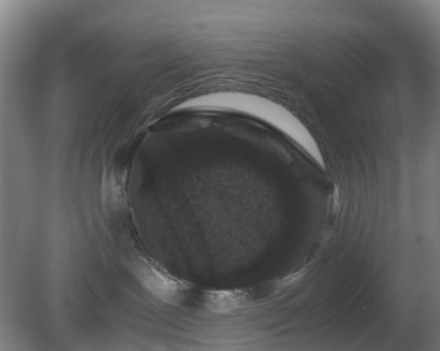X0000080190239200612152022