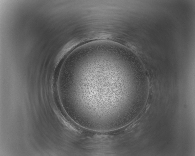 X0000080190242200612152021