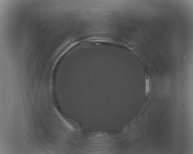 X0000080190243200612152021
