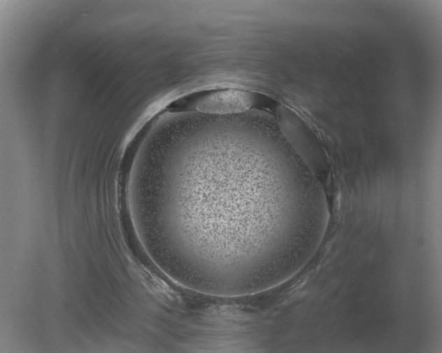 X0000080190244200612152021