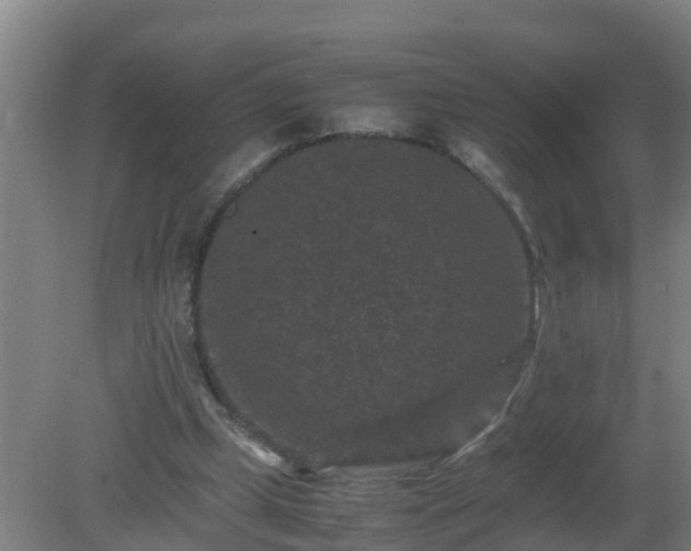 X0000080190249200612152021