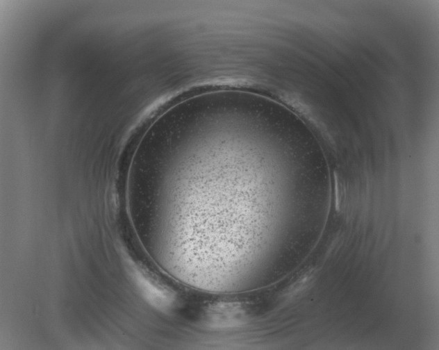 X0000080190252200612152022
