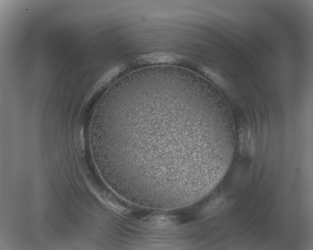 X0000080190254200612152022