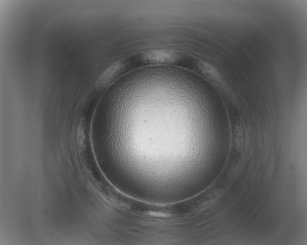 X0000080190259200612152022