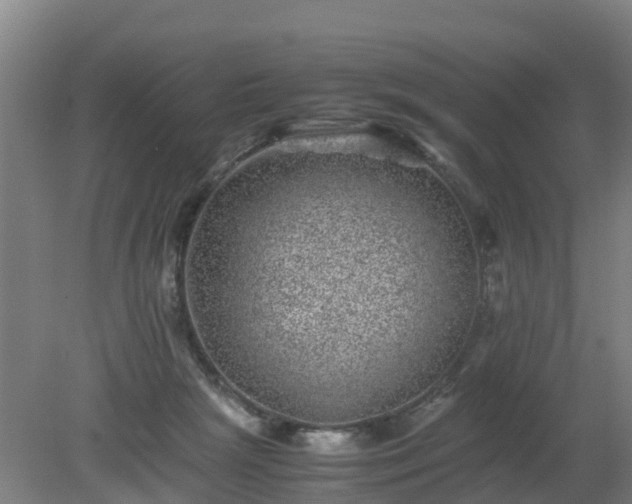 X0000080190265200612152022
