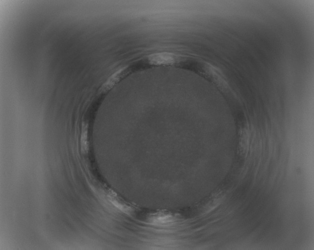 X0000080190267200612152022