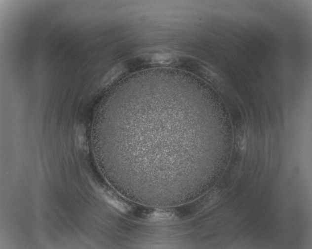 X0000080190270200612152022