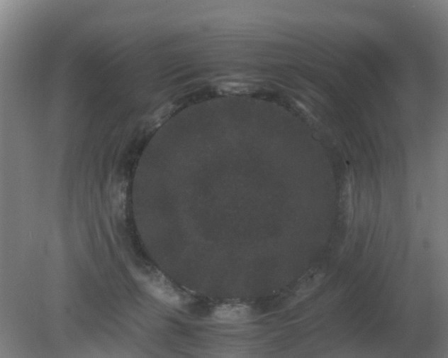 X0000080190271200612152022
