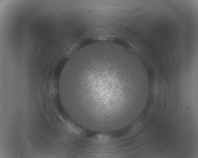 X0000080190272200612152022