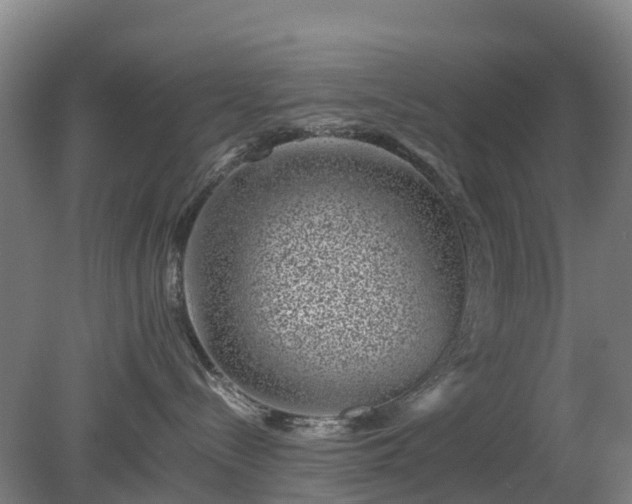 X0000080190288200612152022