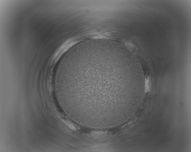 X0000080190291200612152021
