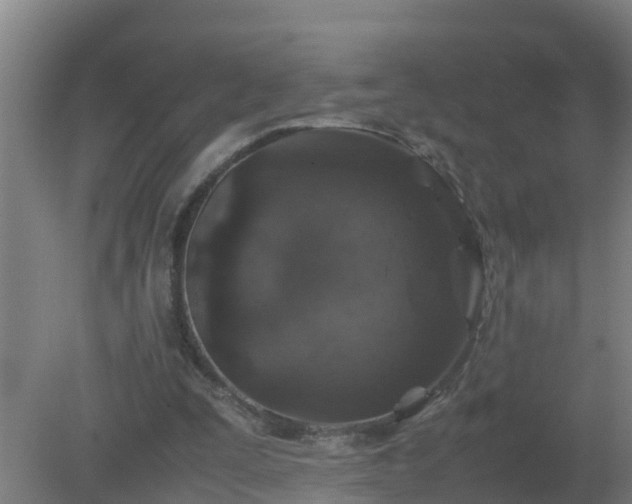X0000080190295200612152021