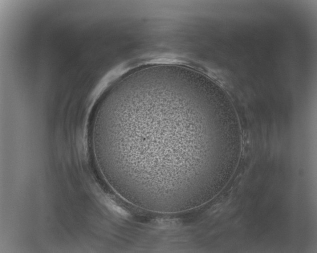 X0000080190296200612152021