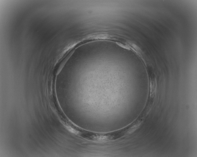 X0000080190301200612152021