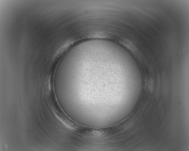 X0000080190302200612152021