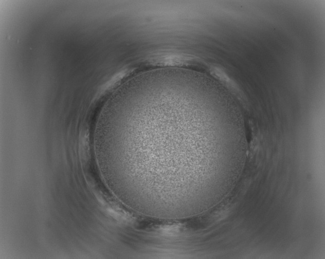 X0000080190306200612152021