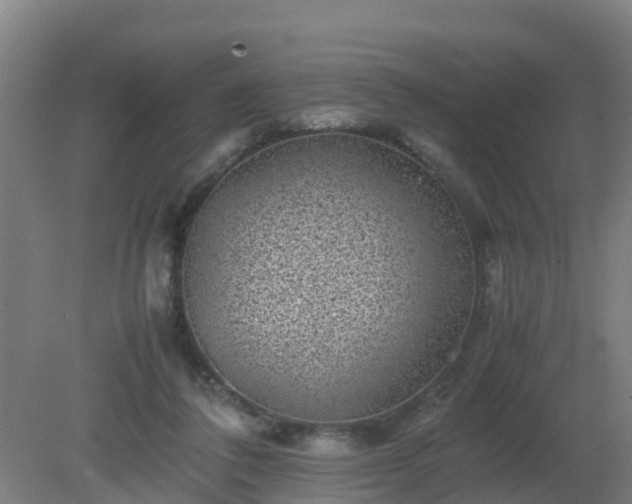 X0000080190308200612152021