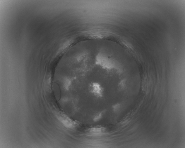 X0000080190314200612152021