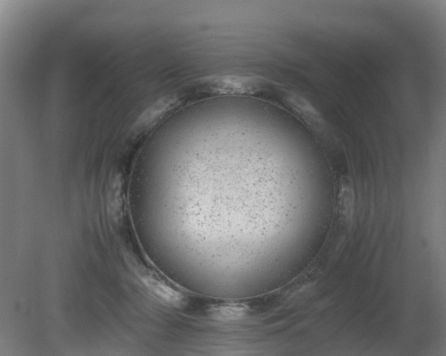 X0000080190318200612152021