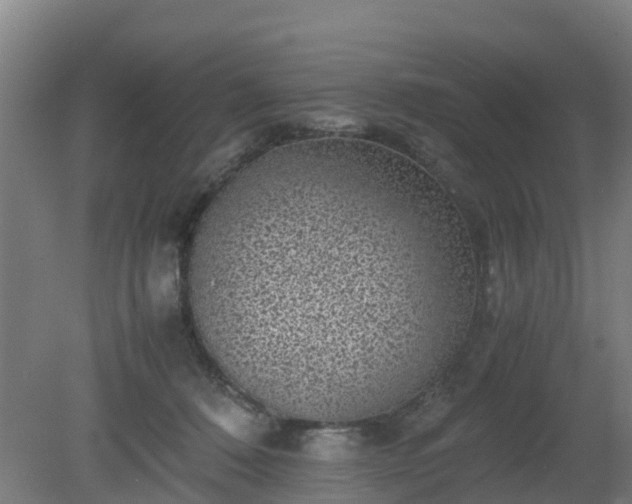 X0000080190320200612152021