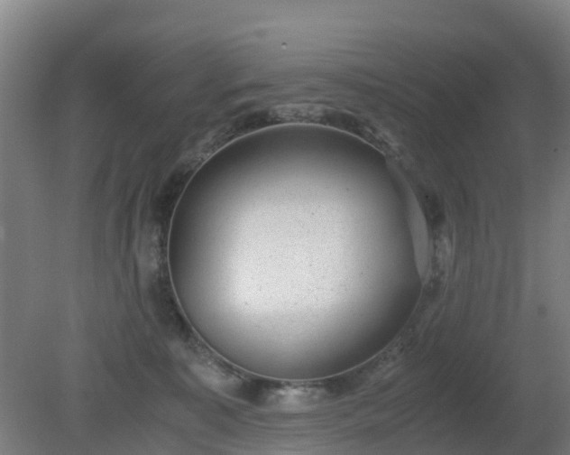 X0000080190323200612152021