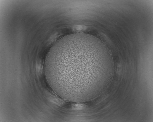 X0000080190324200612152021