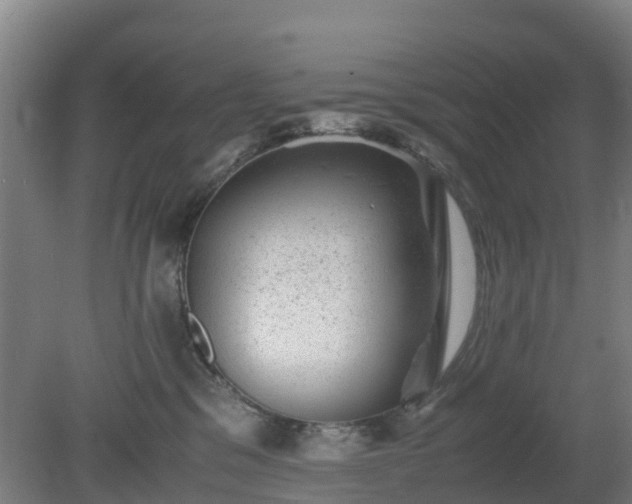 X0000080190329200612152021