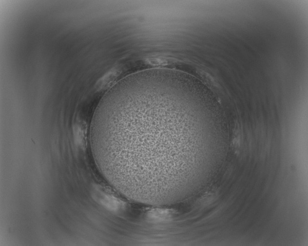 X0000080190332200612152021