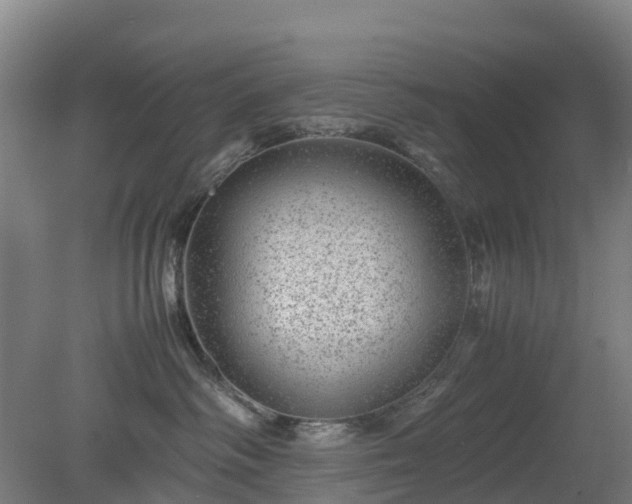 X0000080190334200612152021