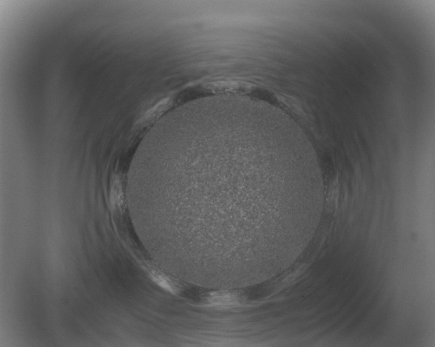 X0000080190335200612152021