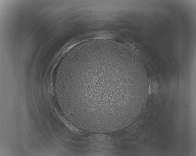 X0000080190339200612152020