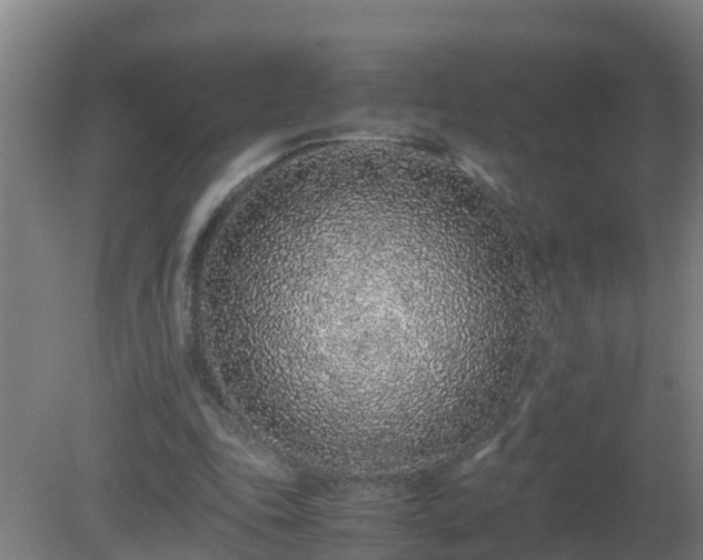 X0000080190343200612152020