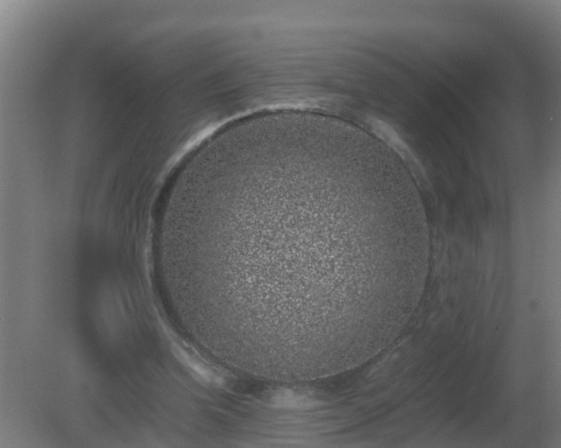 X0000080190346200612152020