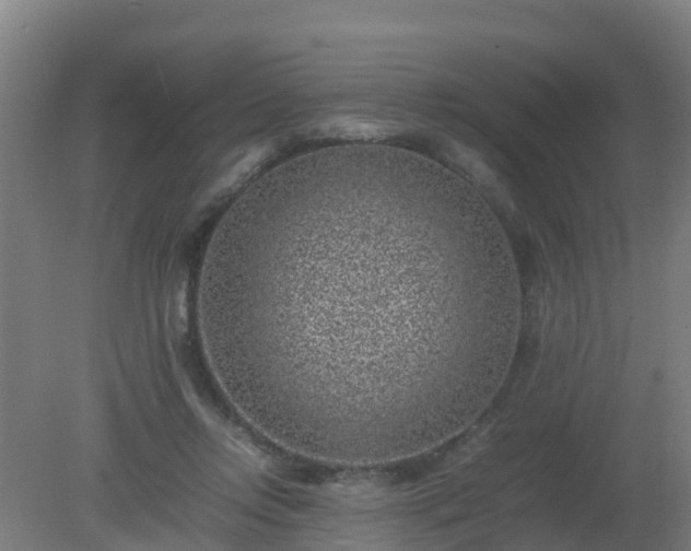 X0000080190358200612152020