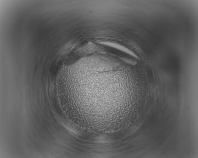 X0000080190365200612152020