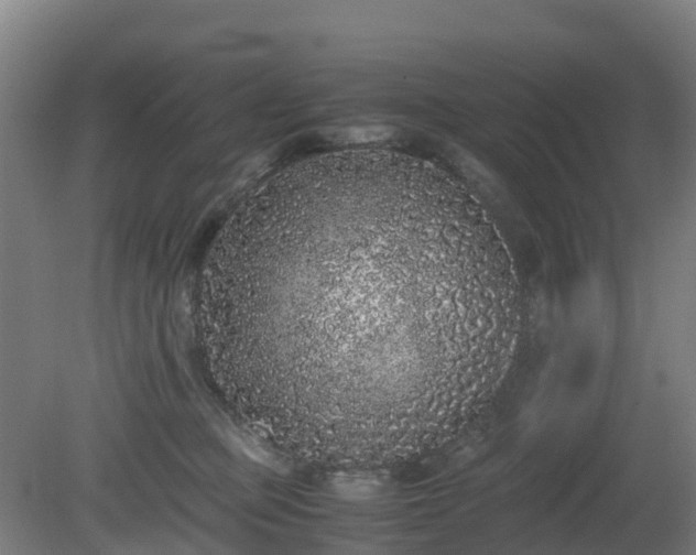 X0000080190373200612152020