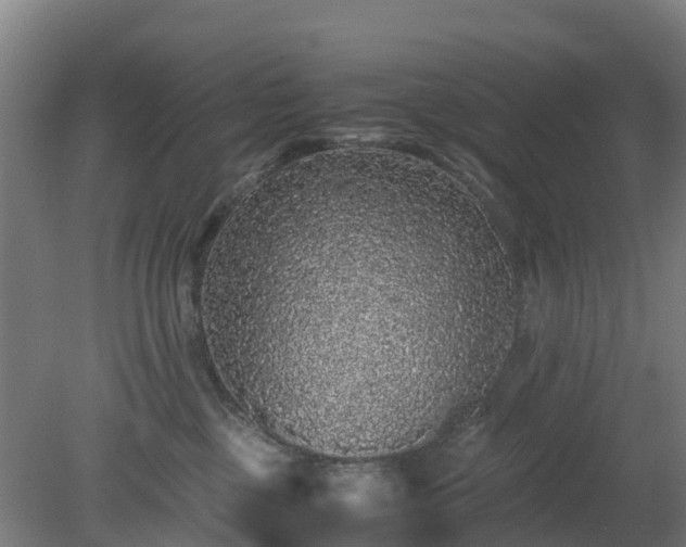 X0000080190377200612152020