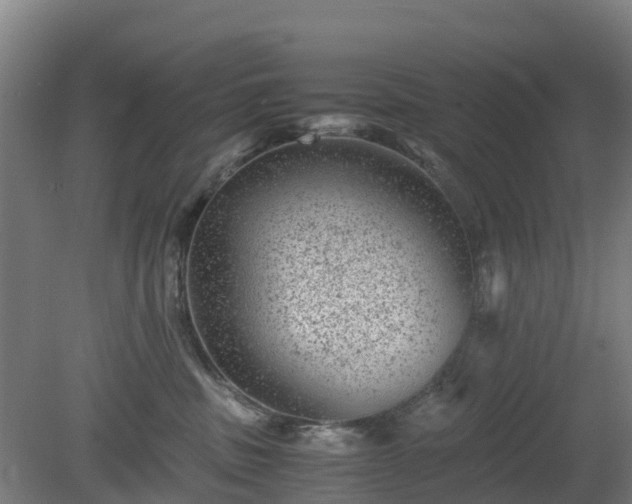 X0000080190379200612152020