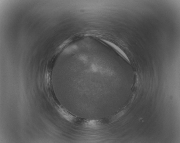 X0000080190382200612152020