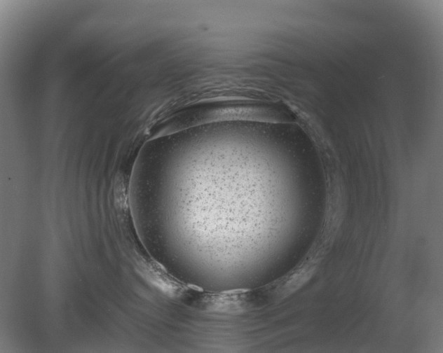 X0000080190384200612152020
