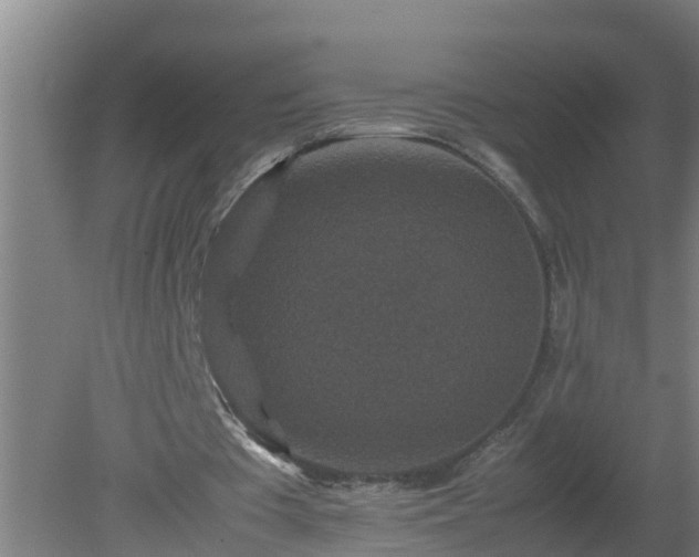 X0000080190385200612152020