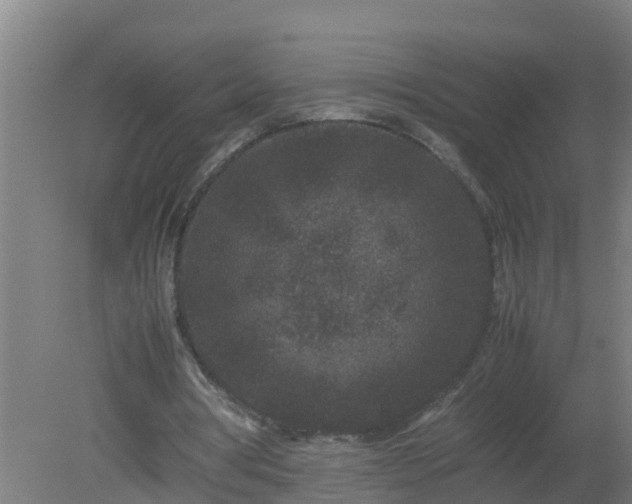 X0000080190386200612152020